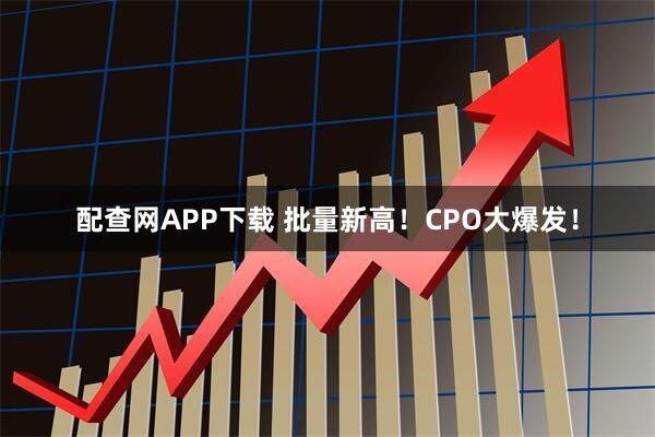 配查网APP下载 批量新高！CPO大爆发！