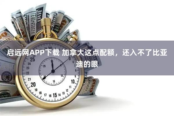 启远网APP下载 加拿大这点配额，还入不了比亚迪的眼